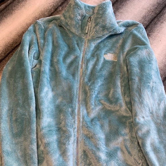 blue frost iridescent north face